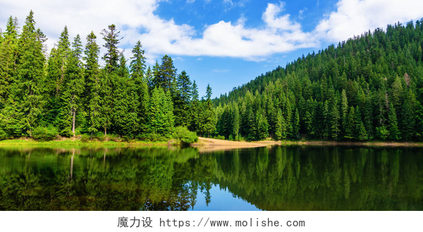 蓝天白云下森林和平静的湖面夏天的山湖